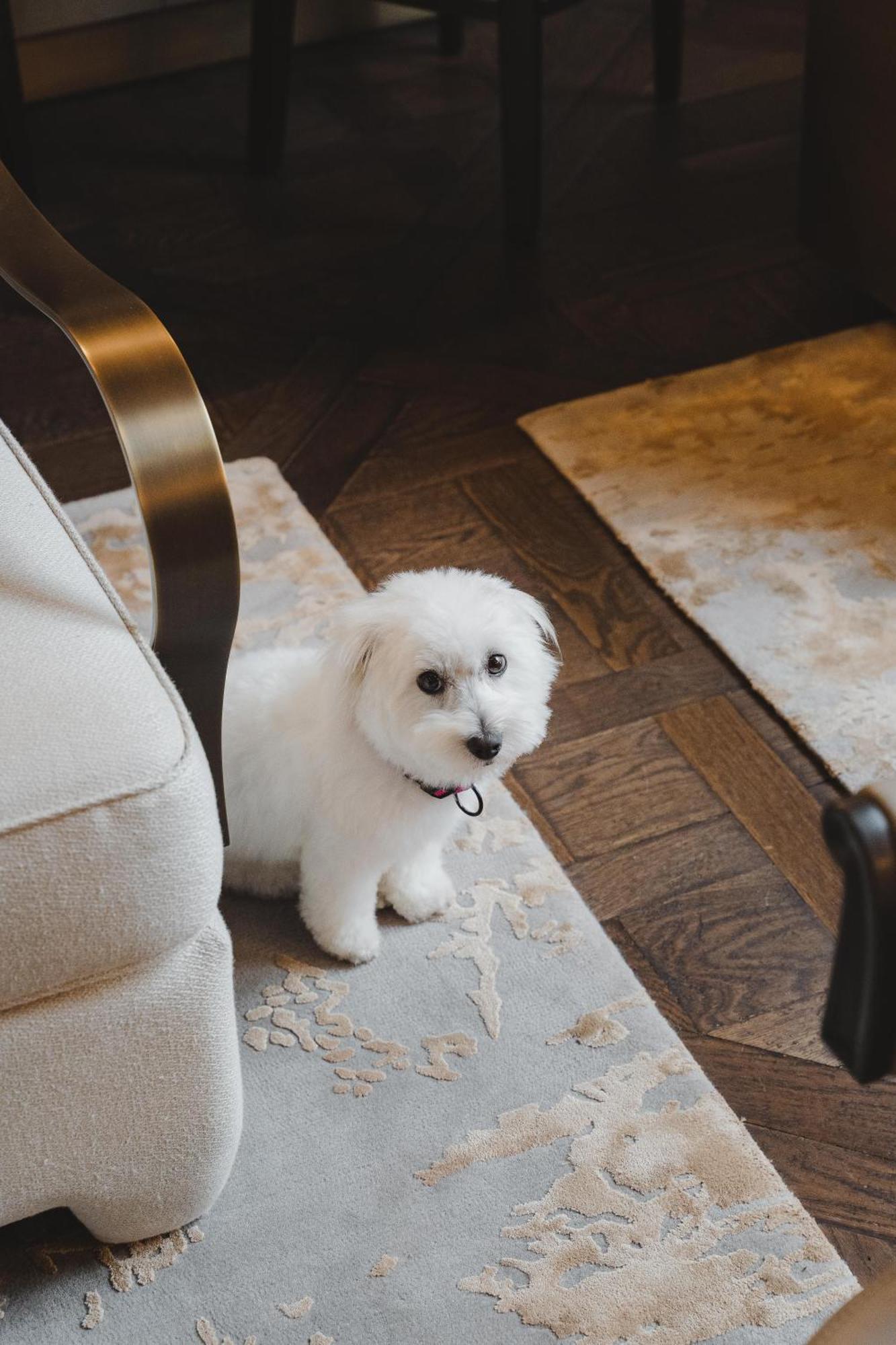 Hotel Maison Villeroy